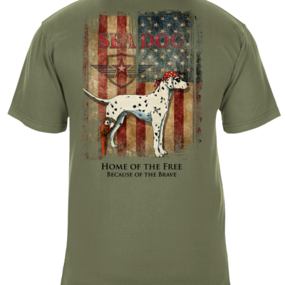 Grunge US Flag T-Shirt