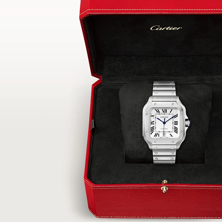 SANTOS DE CARTIER WATCH-WSSA0009 - Image 9