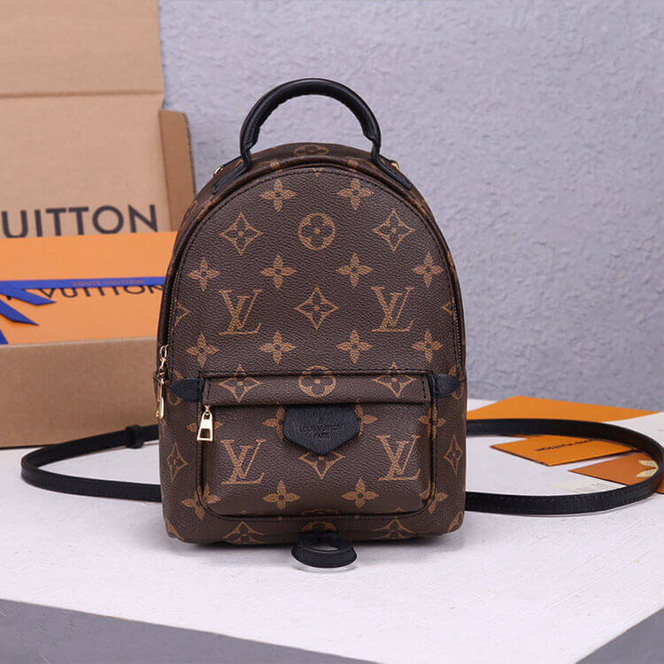 LV Palm Springs Mini Backpack - Image 4