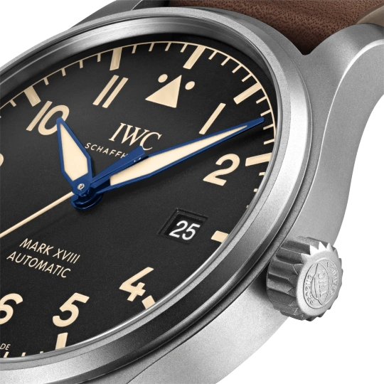 IWC pilot series IW327006 watch - Image 9